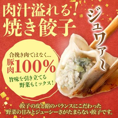 ふるさと納税 大樹町 十勝 豚ぎょうざ 20個入り 3パック 十勝豚使用 北海道 大樹町 |  | 01