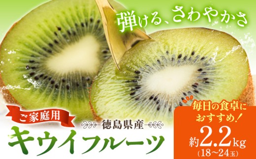 キウイ キウイフルーツ 徳島県産 ご家庭用 訳ありフルーツ 果物 スムージー ジャム デザート 先行予約 徳島県産キウイ 徳島県 2.2kg 《2026年12月下旬-2027年3月中旬頃出荷》