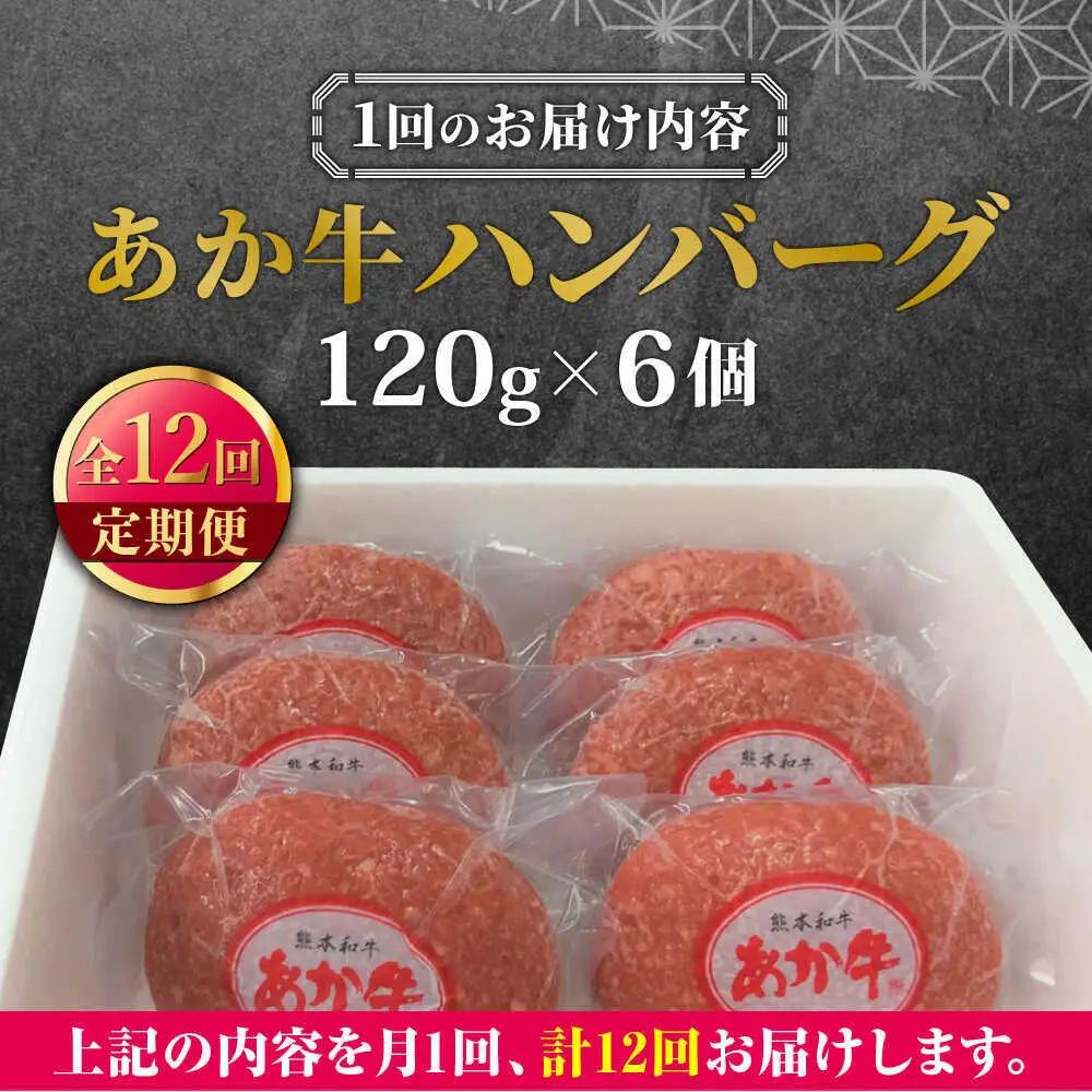 【全12回定期便】あか牛 100％ハンバーグ 約120g×6個 ハンバーグ赤牛[AYCQ085]