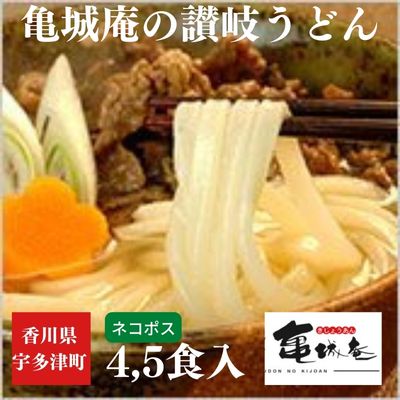 【ふるさと納税】亀城庵の本格讃岐うどん ツルっと亀～る　さぬきうどん・4人前 or 5人前・ぶっかけ ざる すき焼き 鍋　 麺類 夕飯 お昼 さっぱり 並切麺 つゆ付 半生讃岐うどん つゆなし 生讃岐うどん つゆ付セット 太切麺