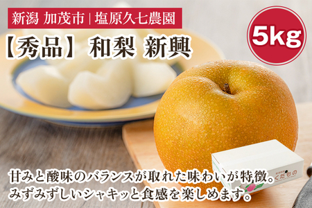 【2026年先行予約】新潟県産 和梨 新興 5kg 【秀品】《10月下旬～順次発送》 しんこう