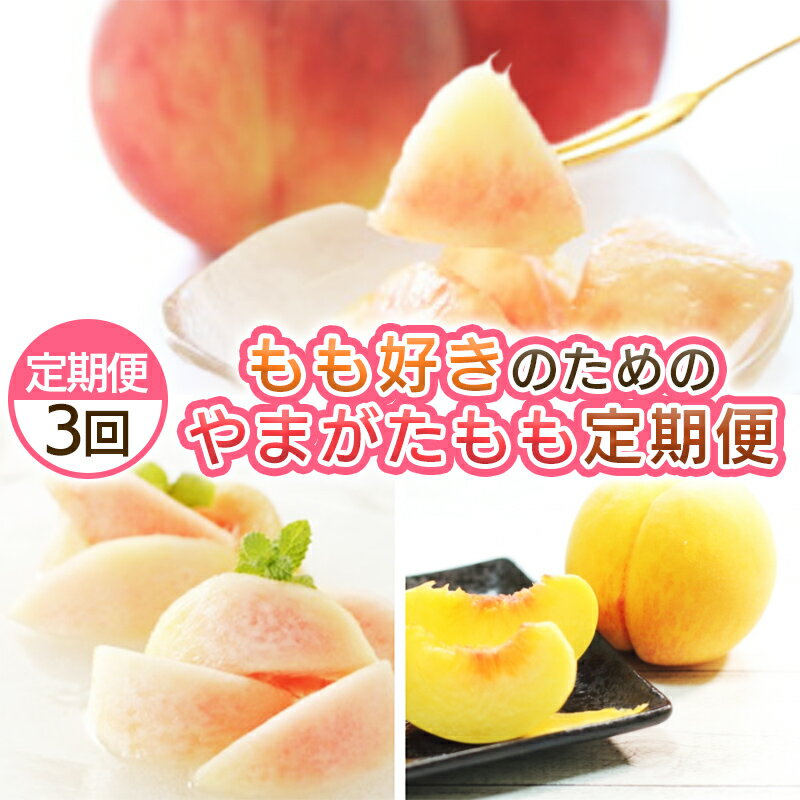 【ふるさと納税】【定期便3回】もも好きのためのやまがたもも定期便 【令和8年産先行予約】FS25-694くだもの 果物 フルーツ 山形 山形県 山形市 お取り寄せ 先行予約 2026年産