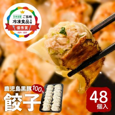 ふるさと納税 鹿児島市 【日本全国!ご当地冷凍食品大賞 2024-2025 優秀賞受賞!】鹿児島黒豚100%餃子 48個入り