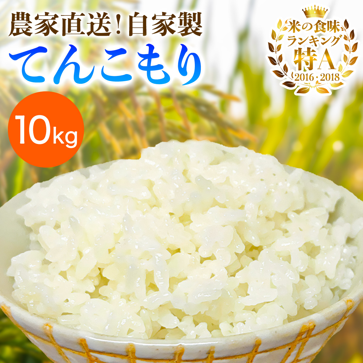[令和7年産] 伊勢原産 精米10kg(5kg×2袋) てんこもり 農家直送！加藤さんちのうんめぇ！自家製米｜お米 おこめ コメ 白米 神奈川 伊勢原 [0527]