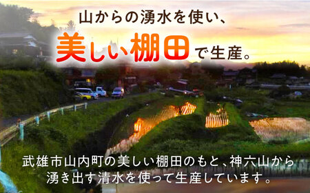 【3回定期便】古代米 黒米 4袋 /永尾 忠則 [UAS017] 雑穀