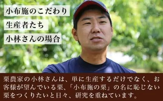 自家農園100％ 小布施栗マロンペースト＆熟成小布施栗詰め合わせ［ おぶせファーマーズ ］ マロンペースト 栗 くり クリ 和栗 栗あん スイーツ お菓子 長野県 信州 小布施町 お取り寄せ［FH-8