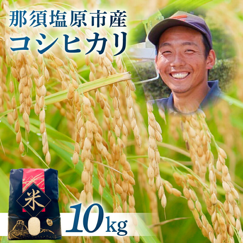 【ふるさと納税】那須塩原市産コシヒカリ　10キロ 栃木県 那須塩原市 お米 米 コシヒカリ ブランド米 ごはん おにぎり 白米 送料無料