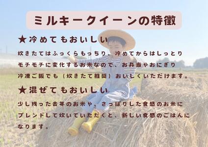 【令和7年産】栃木市岩舟町産ミルキークイーン5kg【玄米】米　新米　玄米　ミルキー　農家直送　産地直送