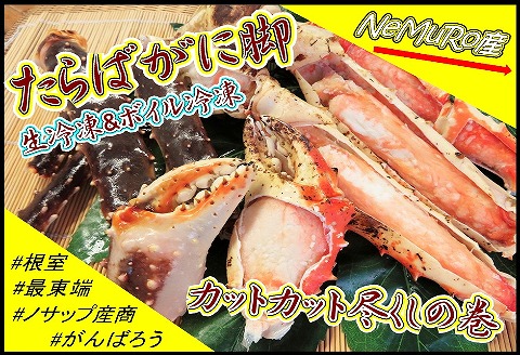 【北海道根室産】たらばがに脚(生冷凍600g、ボイル冷凍300g) C-59019