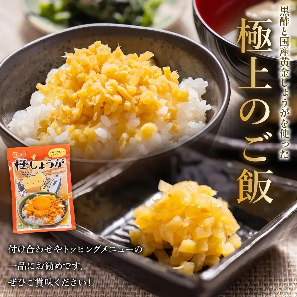味付け 極しょうが 110g×10袋 計1100g しょうが Xnb-0014