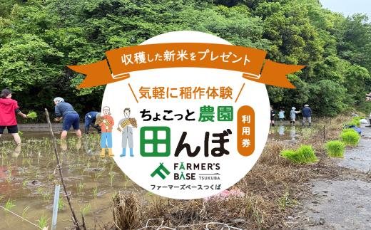 気軽に稲作体験 新米プレゼント付き「ちょこっと農園 田んぼ」利用券／FARMER’S BASE TSUKUBA （ ファーマーズベースつくば ） │ 農園 貸し農園 レンタルファーム レンタルはたけ 畑 田んぼ 稲作 体験 米 チケット 子供 家族 茨城県 つくば市