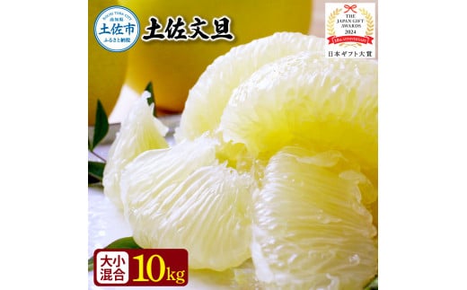 先行予約 園主こだわりの土佐文旦 10キロ 大小混合（４L～Mサイズ） 2026年1月下旬より順次発送 ぶんたん ブンタン 柑橘 みかん フルーツ 果物 家庭用 お取り寄せ 土佐 高知 やの一果彩