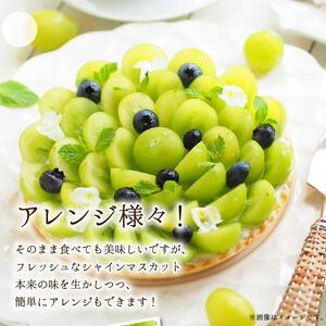 【2025年先行予約】［大原観光果樹園］瀬戸ジャイアンツ  3〜4房（約2kg）［026-a016］