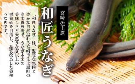 蒲焼き 備長炭手焼き 宮崎市佐土原産 和匠うなぎの蒲焼き4尾セット(計660g&たれ・山椒付き)　鰻蒲焼 ウナギ