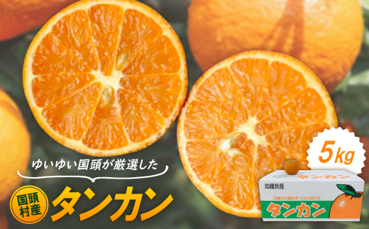 【2027年1月から順次発送】国頭村産 タンカン 5kg やんばるの人気柑橘 濃厚な甘みとコク