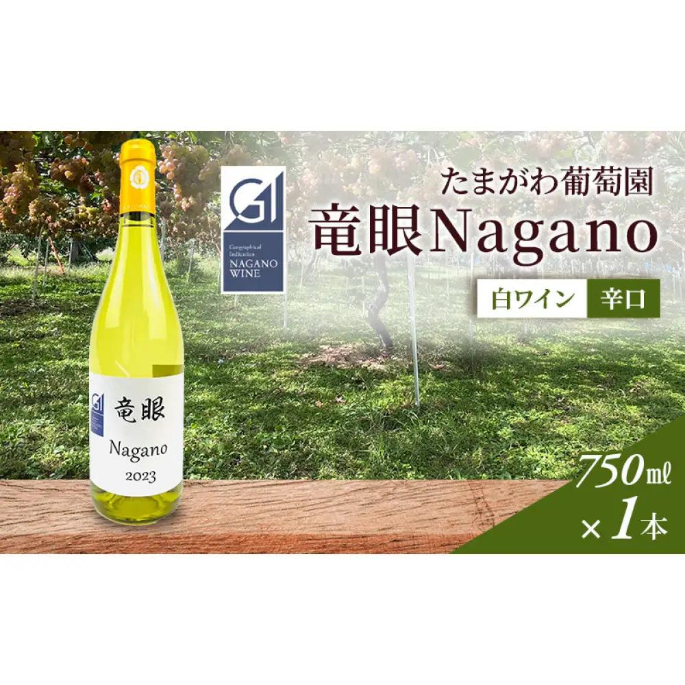 ワイン　竜眼Nagano　【GI長野】認定　750ｍｌ×1本 | ワイン 竜眼 白ワイン 辛口