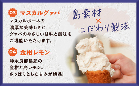 POWER GELATO（ 季節限定セット 6個入り ） C073-003-01 ジェラート 菓子 お菓子 デザート スイーツ ドラゴンバナナ マスカルパッション マスカルグァバ 金柑レモン いずれか