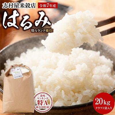 ふるさと納税 小田原市 令和7年産 小田原の米「はるみ」20kg(5kg×4)