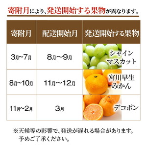 産地厳選三豊のフルーツ３回定期便　P_M64-0056