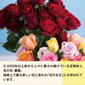 C-11 愛する人へ「１００本の薔薇」（ピンク）