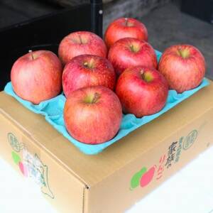 【2025年12月発送予定】糖度13度以上保証!サンふじおもてなし用約3kg(6～18玉)【配送不可地域：離島・沖縄県】【1682755】