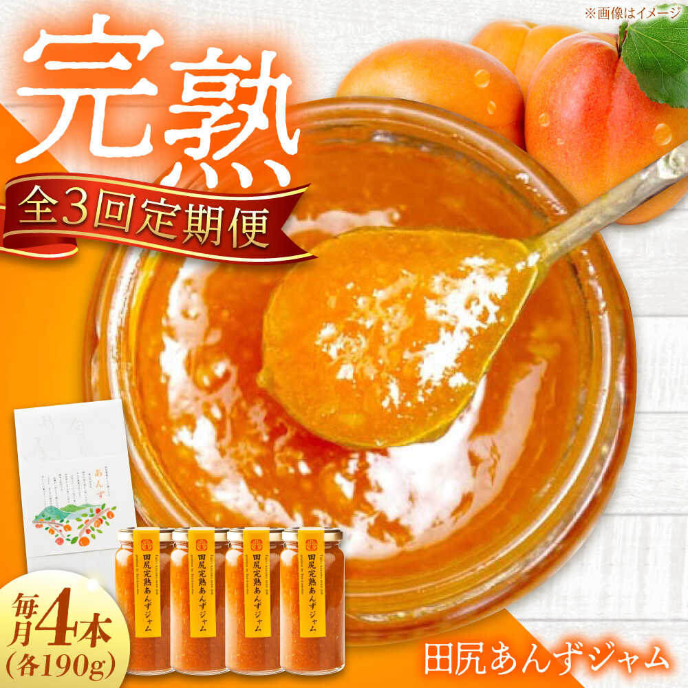 【ふるさと納税】【全3回定期便】 ジャム 田尻完熟あんずジャム (4本) ジャム 果物 あんず パン 甘い 菓子 朝ごはん おすすめ 人気 フルーツジャム トースト ヨーグルト パンケーキ 瓶 ギフト 贈り物 定期便 おすすめ 送料無料 広島県福山市/有限会社勉強堂[BAFL008]