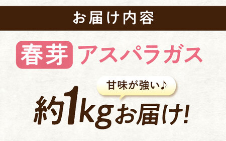 【先行予約】三次の恵みをおふくわけ 朝採れ 春芽アスパラガス（約1kg）とれたて アスパラ 旬 野菜 三次市/福分アスパラ[APAU001]