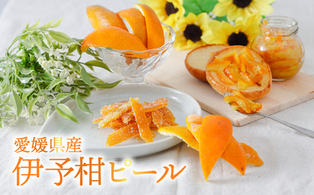 【自然栽培】潮風たっぷり!自然栽培 いよかん 冷凍 ピール 皮 ｜ いよかん お菓子づくり マーマレード お酒 伊予柑 愛媛県産 みかん 自然栽培  柑橘 ミカン ﾐｶﾝ 愛媛県産 家庭用 えひめのみかん GUILD  愛媛県 松山市【GU006】