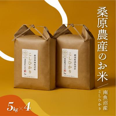 ふるさと納税 南魚沼市 令和7年産 新米予約 日本のお米の最高峰 南魚沼産こしひかり5kg×4 山間地限定米 桑原農産のお米