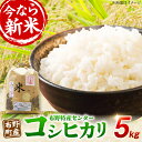 【ふるさと納税】布野町産 コシヒカリ（新米）5kg 白米 お米 ご飯 コシヒカリ三次市/布野特産センター[APBA006]