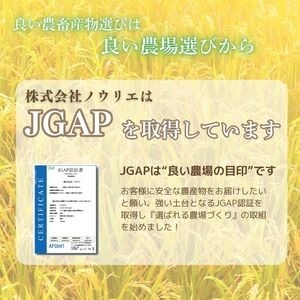 令和7年産 ゆめぴりか 玄米 30kg【農業生産法人ノウリエ】 米 お米 北海道米 特Aランク 国産 コメ 北海道 比布町 ぴっぷ 1017-010