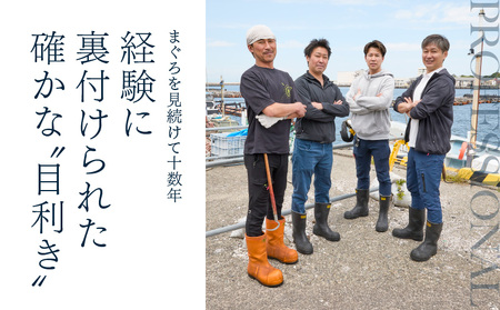 ＜選べる配送月＞天然 三崎まぐろ 赤身 切落し 500g （500g×1袋） M020-014-04 冷凍 マグロ 【 まぐろ専門の卸問屋です 】