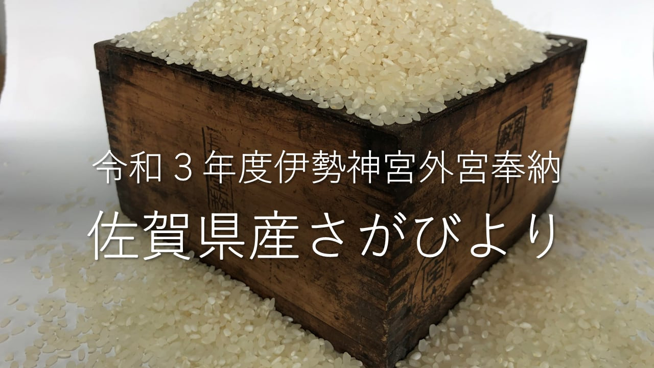
                  【令和６年産】さがびより　玄米　4㎏（2㎏×2）
                