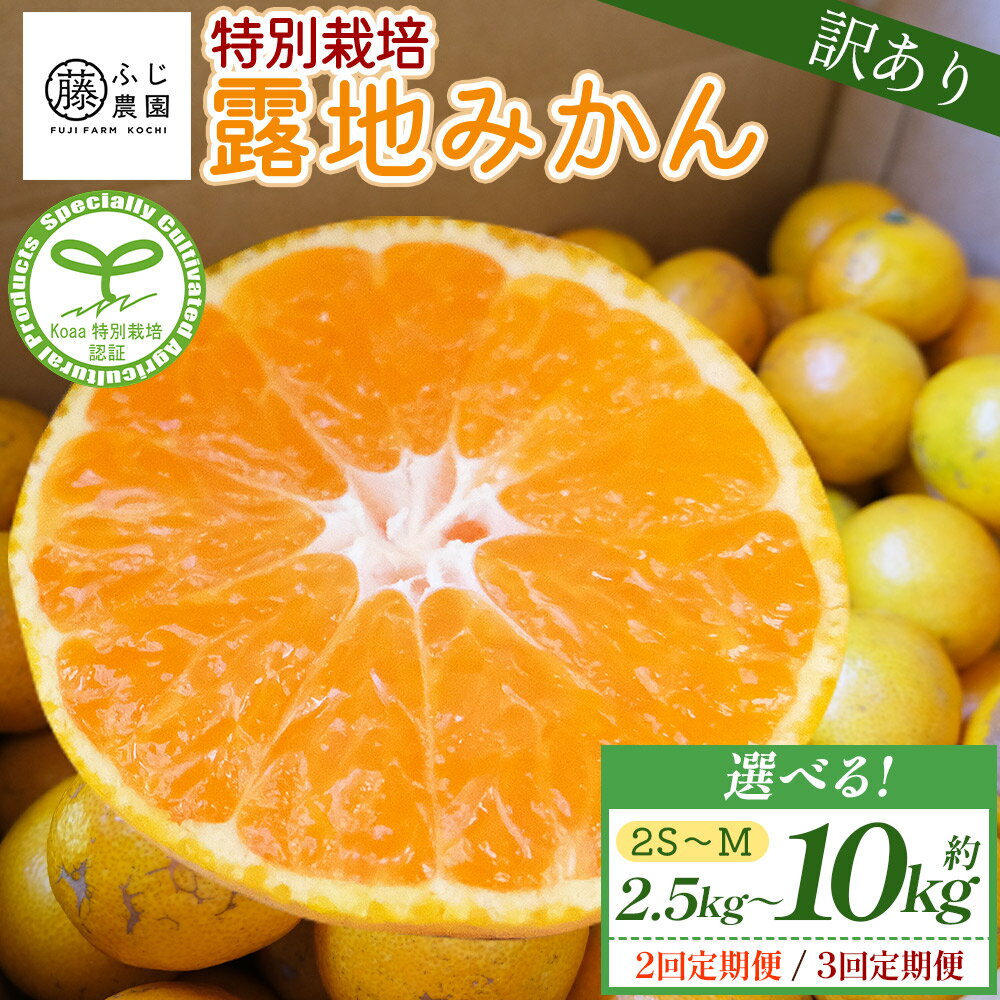 【ふるさと納税】ふじ農園の露地みかん 訳あり (2S〜M) (内容量：約2.5〜10kg／定期便：2/3回) - 選べる 配送回数 定期便 国産 小玉 蜜柑 ミカン 柑橘 果物 フルーツ 訳アリ 5キロ 5kg ご家庭用 自宅用 箱買い ふじ農園 高知県 香南市 【常温】