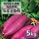 【ふるさと納税】 ＜ 訳あり ・ 不揃い ＞ 濱田農園 なると金時 サイズ混合 約5kg 【 数量限定 】 ｜ 鳴門金時 甘い ホクホク 国産 鳴門 産地直送 スイーツ おやつ 焼き芋 焼芋 焼きいも 天ぷら 干し芋 スイートポテト 離乳食