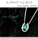 【ふるさと納税】エメラルド ペンダント 0.5ct AG900(PT100) [24118] 馬蹄 ダイヤモンド ネックレス アクセサリー レディース ジュエリー 山梨県甲斐市　お届け：入金確認後、1ヶ月ほどでお届け（年度末は2ヶ月ほどお時間をいただく場合がございます）