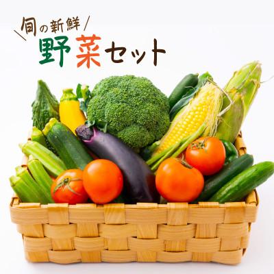 ふるさと納税 御坊市 【発送月固定定期便】旬の新鮮野菜セット8種以上【野菜詰め合わせ】全12回