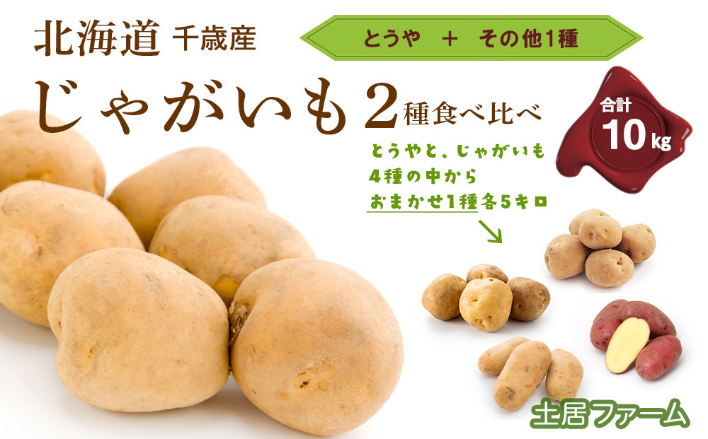 
2024年秋発送 じゃがいも2種 食べ比べ 各5kg 計10kg《土居ファーム》 野菜 やさい 芋 いも とうや 北あかり レッドムーン 男爵 メークイン 北海道 千歳
