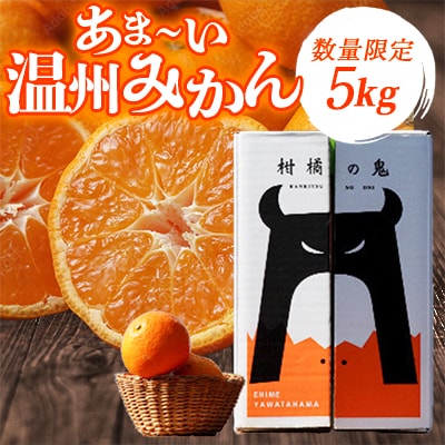 あまーい温州みかん(南柑20号みかん)5kg[数量限定]【C56−7】【1128575】