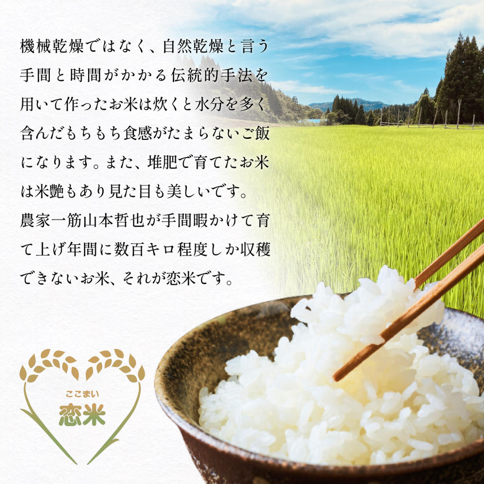 令和7年産 富山県産コシヒカリ 5kg　恋米（ここまい） 天風