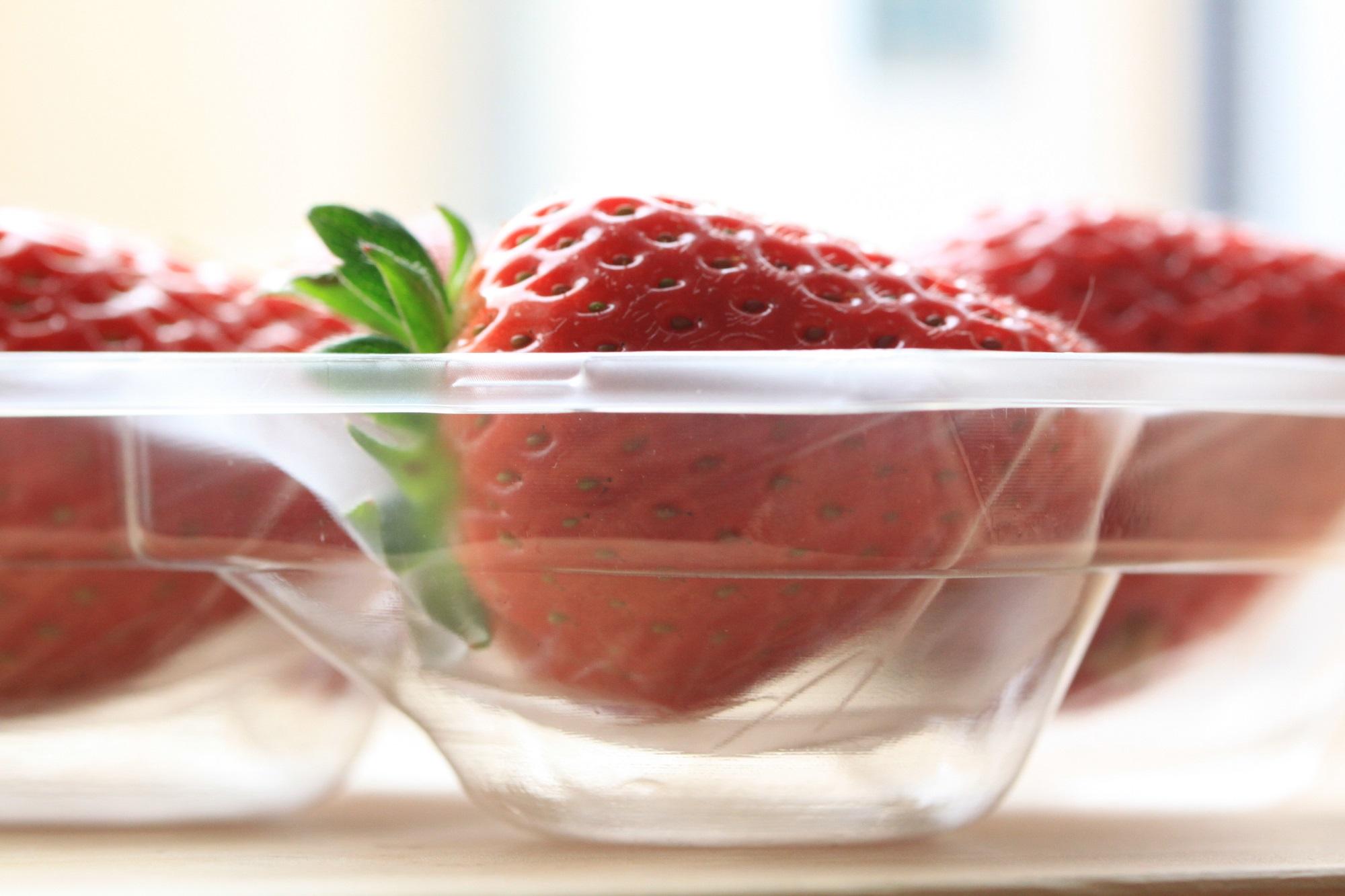 いちご（まりひめ）ゆりかーご包装【2025年1月頃より順次発送】A-313