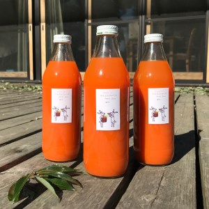 【3回定期便】 にんじんジュース 1L瓶 3本セット 【自家栽培・有機農法】
