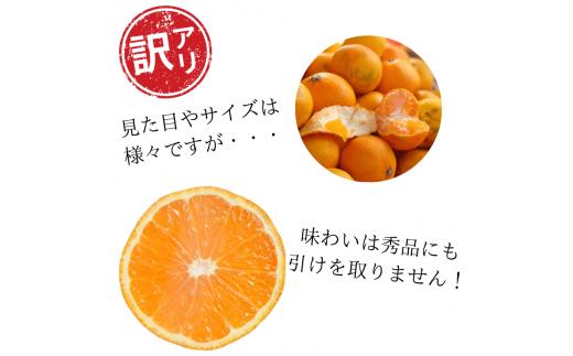 【訳あり】農家直送 有田みかん約5kg ご家庭用 サイズ混合 ※2025年11月中旬から2026年1月中旬までに順次発送予定（お届け日指定不可）※北海道・沖縄・離島への配送不可　訳ありみかん 温州みか