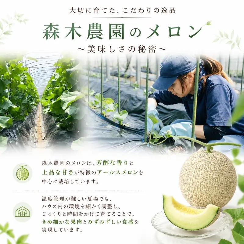 【5口限定・予約受付】アールスメロン メロン 2玉 1.4kg 以上【森木農園】