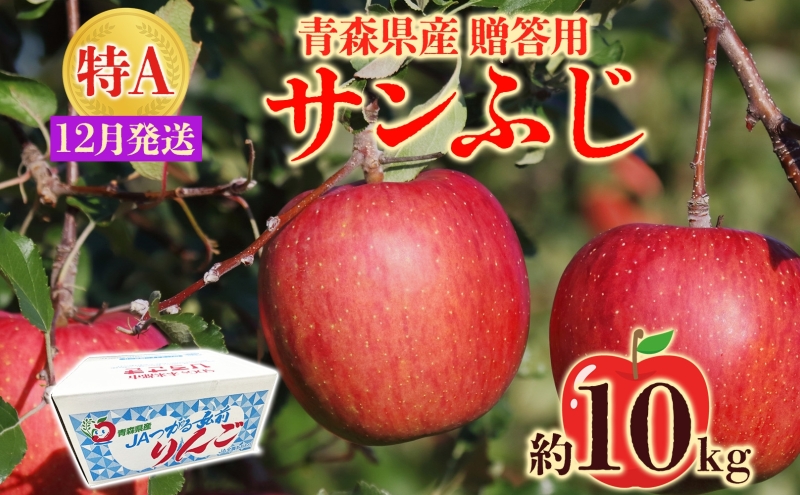 サンふじ 約10kg 贈答用 特A 12月発送 化粧箱入 りんご リンゴ 果物 フルーツ くだもの 旬 青森県産 お取り寄せ 贈り物 プレゼント 青森県 西目屋村