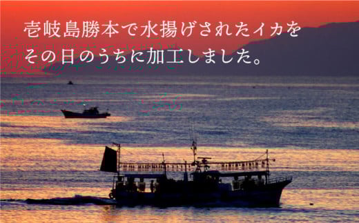 剣先イカ 一夜干 （大） 3杯 《壱岐市》【株式会社マルショウ】 いか イカ 剣先いか セット おつまみ 一夜干し [JEW007] 19000 19000円 のし ギフト