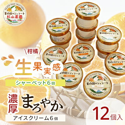 【ふるさと納税】果樹園のジェラート 柑橘食べ比べ12個セット 100ml×12個 冷凍 ギフト アイスクリーム シャーベット□ | スイーツ ひんやりスイーツ フルーツジェラート フルーツアイス さっぱり