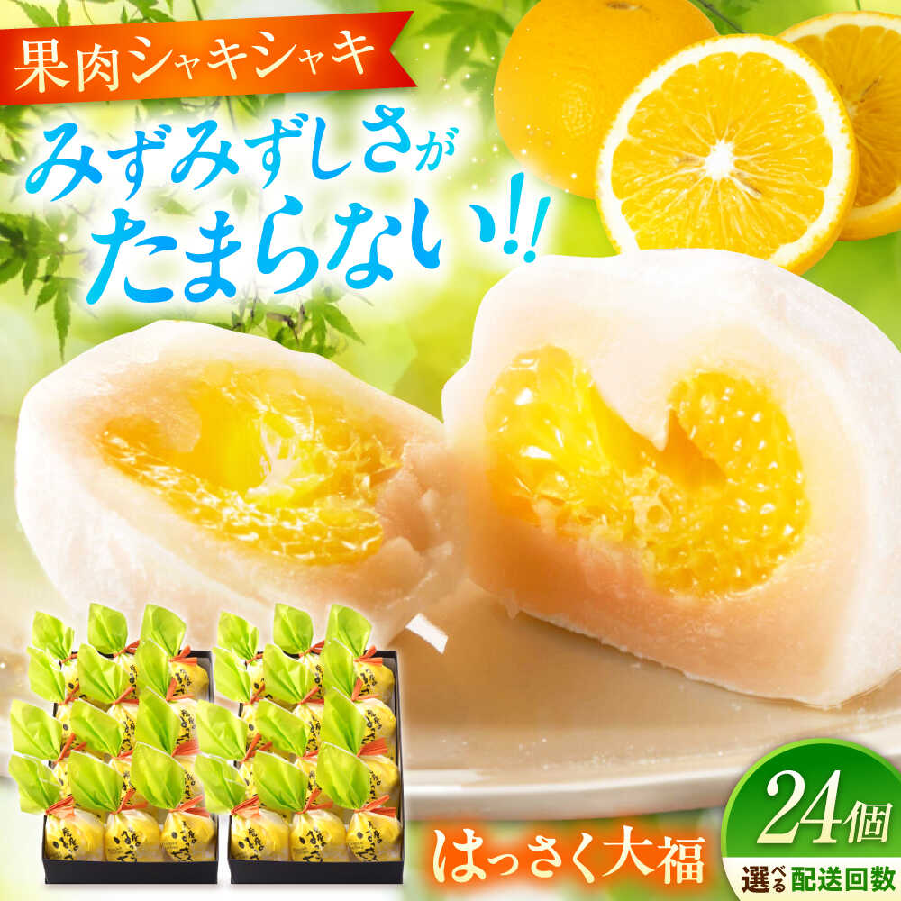 【ふるさと納税】【選べるお届け回数】お菓子 はっさく大福 12個入×2　 お菓子 大福 八朔 柑橘 みかん オレンジ 餅 ギフト はっさく お取り寄せ スイーツ フルーツ大福 ご当地 菓子 おかし デザート 食品 福山市/株式会社虎屋本舗[BADH017]