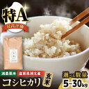 【ふるさと納税】【食味最高ランク特A 2年連続受賞】【減農薬米】滋賀県湖北産 湖北のコシヒカリ 玄米5kg　滋賀県長浜市/株式会社エース物産[AQAK001]