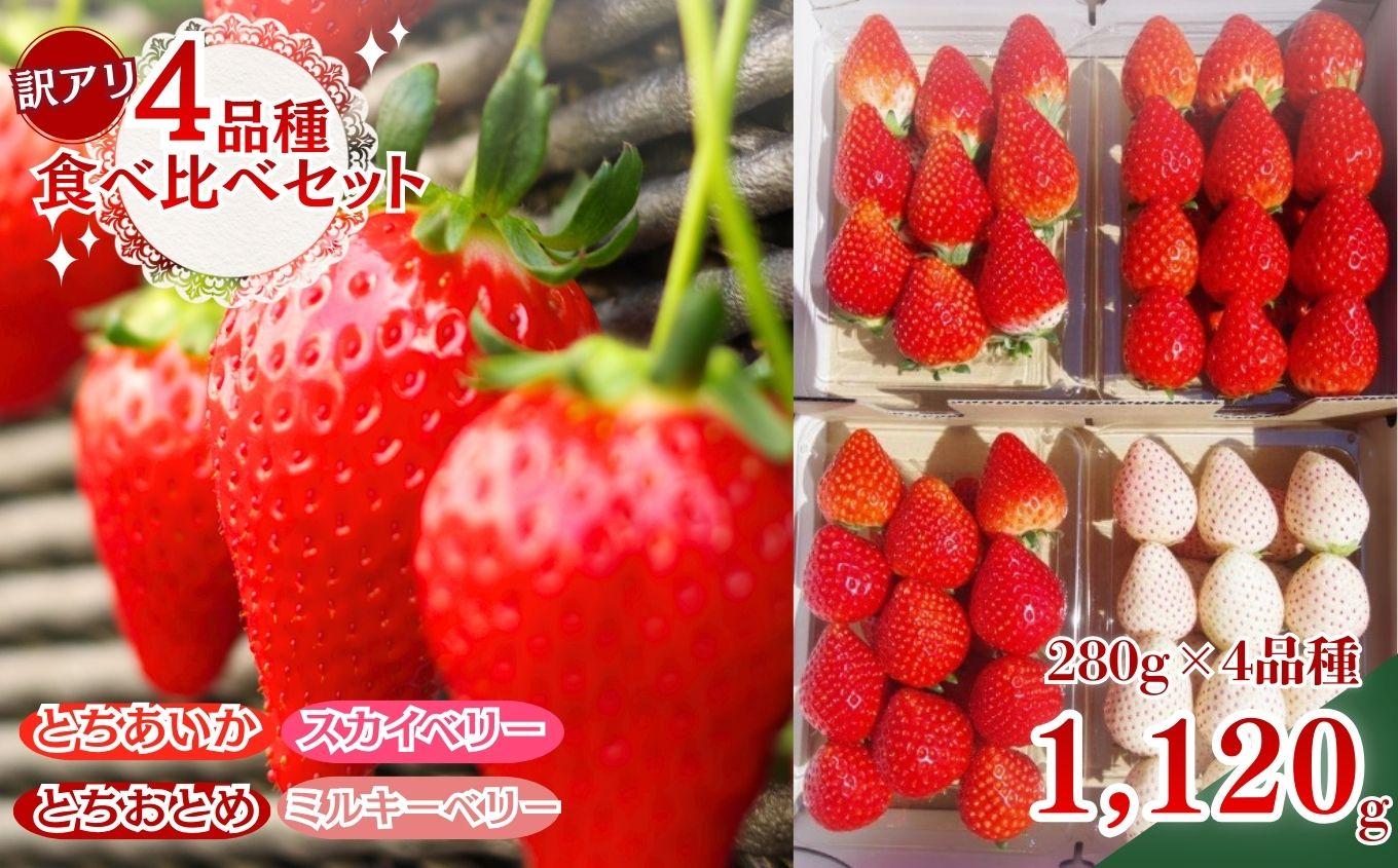 栃木のいちご 4品種食べ比べデラックス 1120g【2027年1月以降発送】| とちあいか とちおとめ スカイベリー ミルキーベリー 澳原いちご農園 栃木県 矢板市